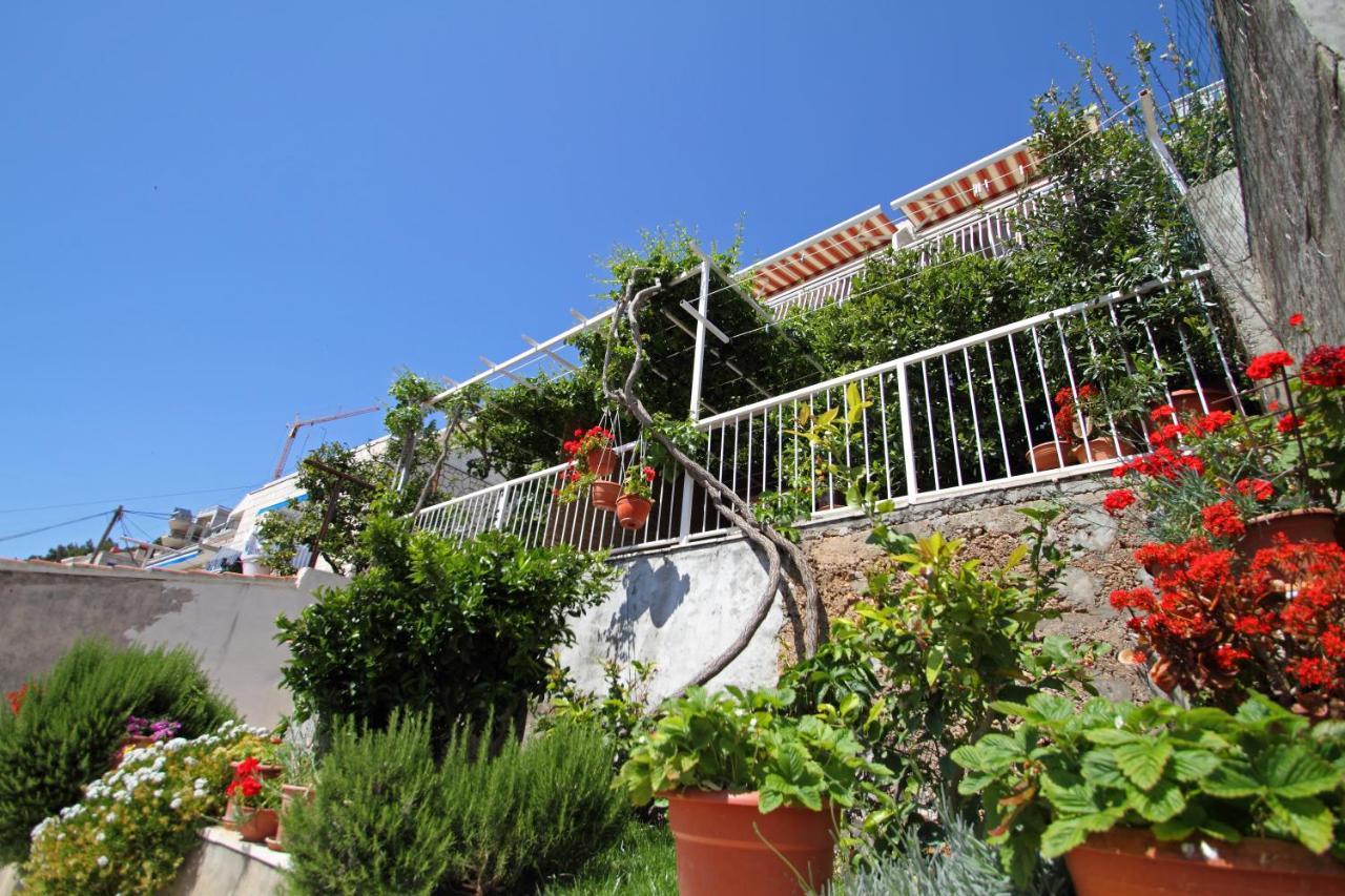 Apartments Ante Ντουμπρόβνικ Εξωτερικό φωτογραφία